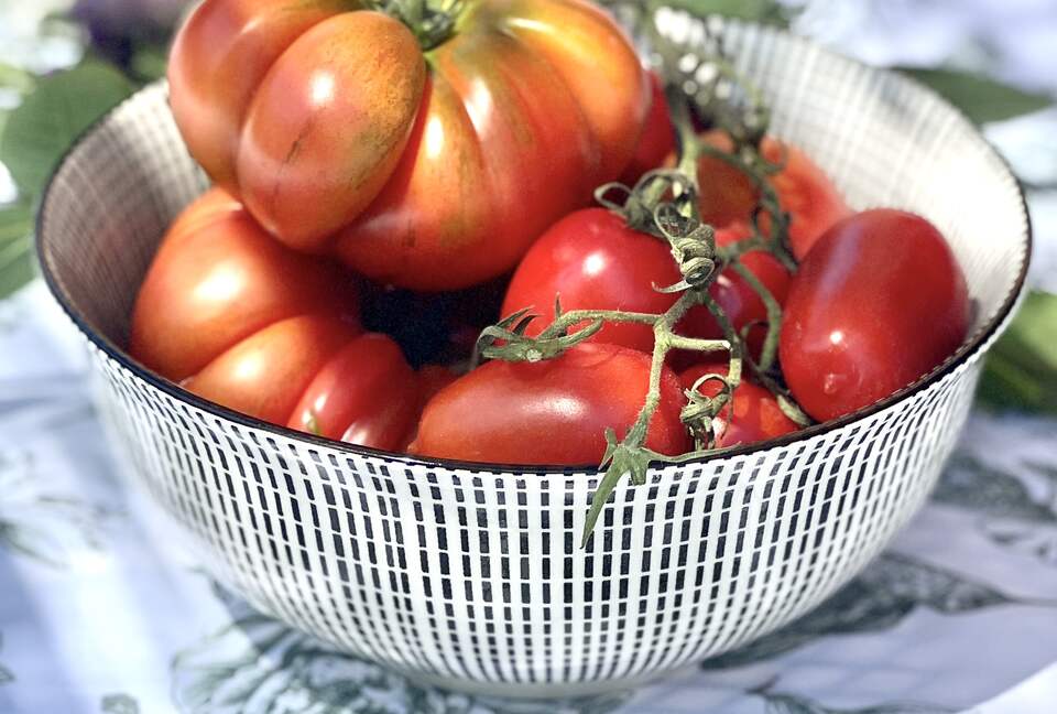 Villa San Lorenzo Umbrian Estate - Castiglione Del Lago, Italy