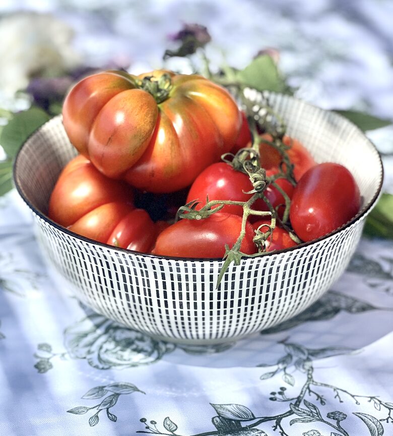 Villa San Lorenzo Umbrian Estate - Castiglione Del Lago, Italy