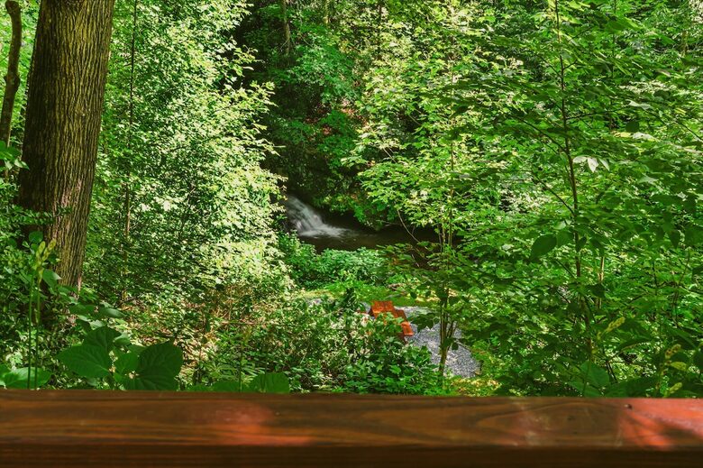 Private Mountain Retreat with 65' Waterfall & Natural Pool - Sylva, North Carolina