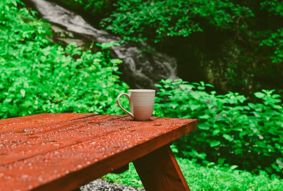 Private Mountain Retreat with 65' Waterfall & Natural Pool - Sylva, North Carolina
