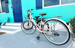 Island Retreat Steps from North Beach - Spanish Wells, Bahamas