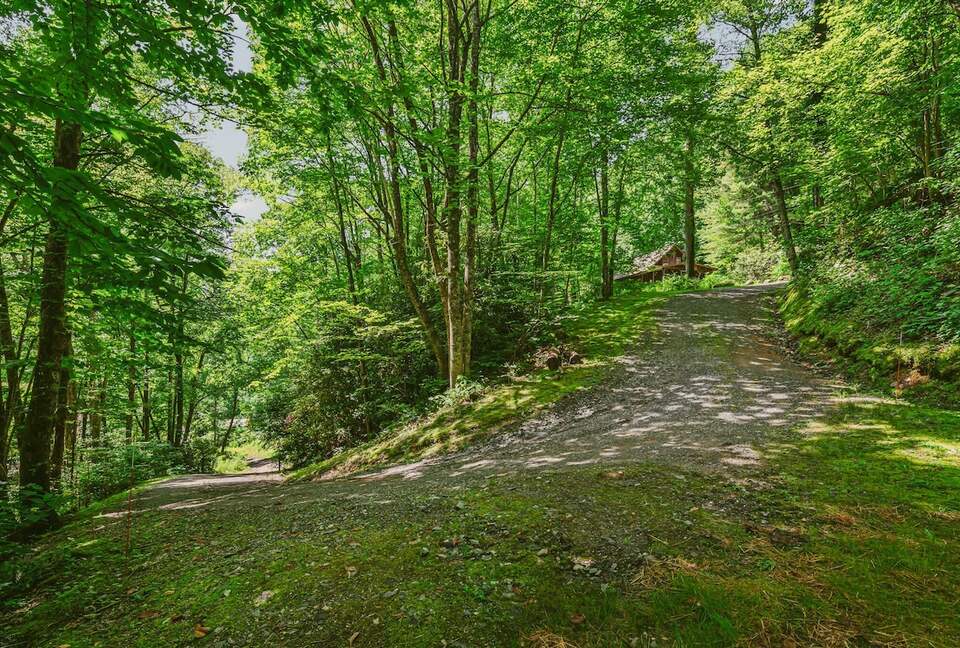 Private Mountain Retreat with 65' Waterfall & Natural Pool - Sylva, North Carolina
