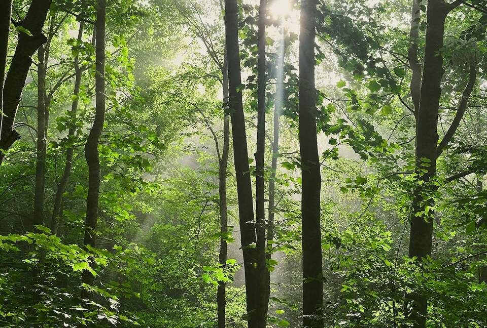 Private Mountain Retreat with 65' Waterfall & Natural Pool - Sylva, North Carolina
