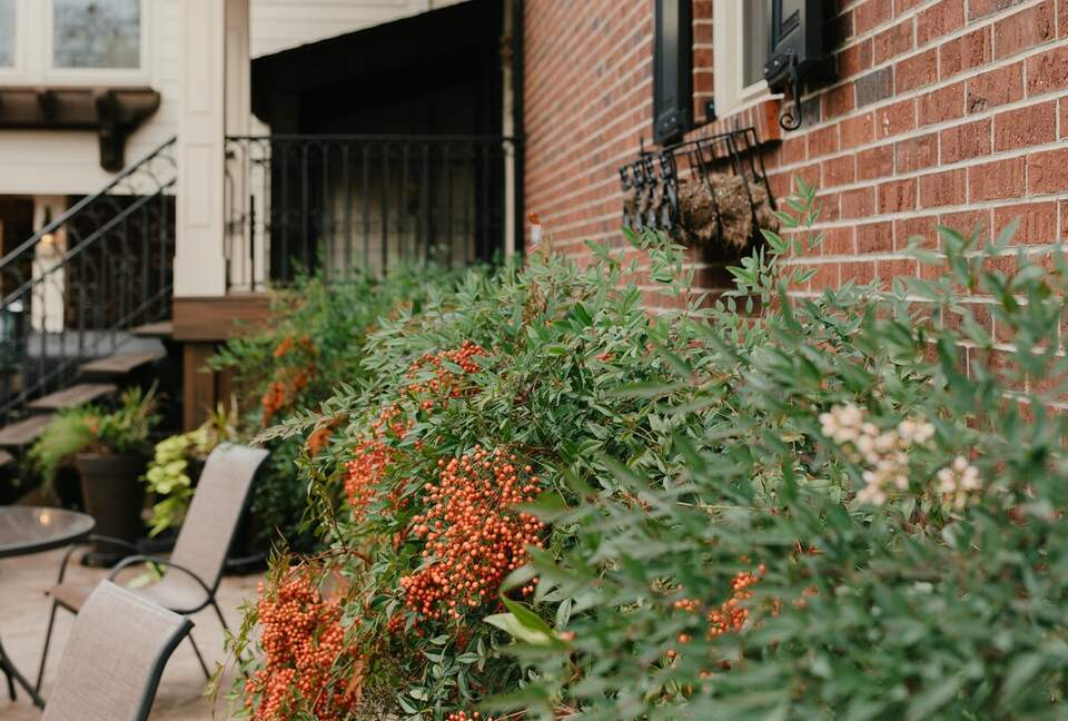 Stylish Country Haven Escape in Mayfield - Mayfield, Kentucky