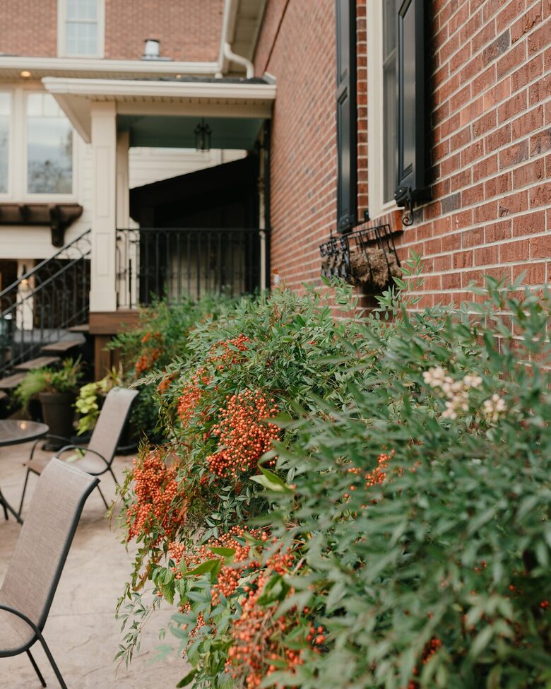 Stylish Country Haven Escape in Mayfield - Mayfield, Kentucky