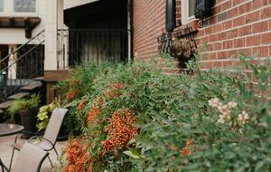 Stylish Country Haven Escape in Mayfield - Mayfield, Kentucky