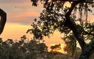 Coastal Elegance in Carmel-by-the-Sea - Carmel By The Sea, California