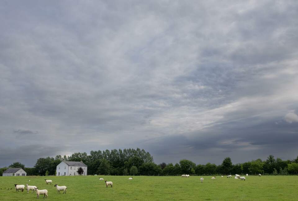 Georgian Country Retreat in the Heart of Kildare - Maynooth, Ireland