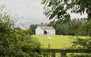 Georgian Country Retreat in the Heart of Kildare - Maynooth, Ireland