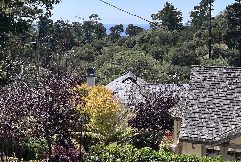 A peek of the ocean through the trees
