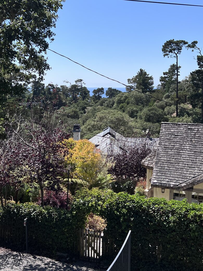 A peek of the ocean through the trees