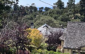 A peek of the ocean through the trees