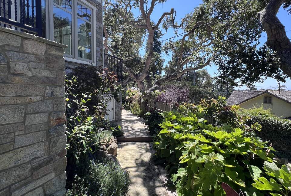 View of the path and garden around the house