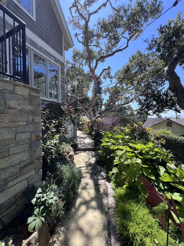 View of the path and garden around the house