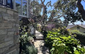 View of the path and garden around the house