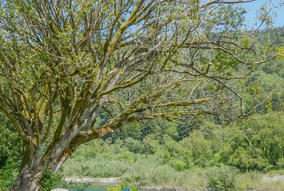 Emerald River Retreat - Crescent City, California