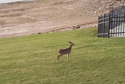 Lake Martin Serenity Condo - Dadeville, Alabama