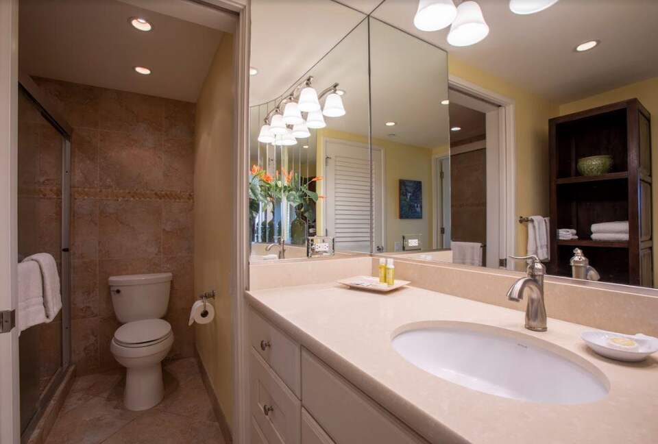 Mountain Serenity at Kaanapali Alii - Lahaina, Hawaii