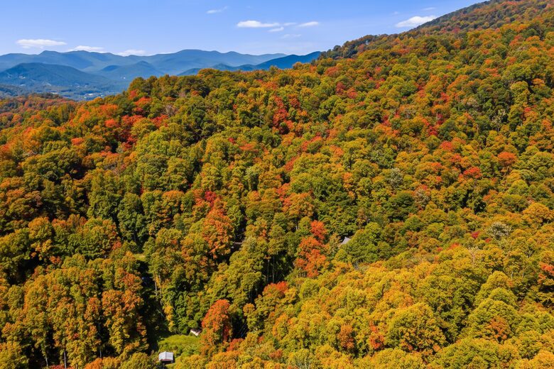 Private Mountain Retreat with 65' Waterfall & Natural Pool - Sylva, North Carolina