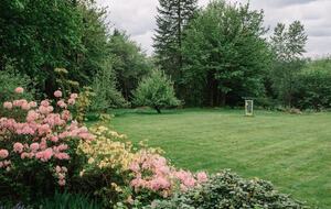 Pacific Northwest Woodland Escape - Duvall, Washington