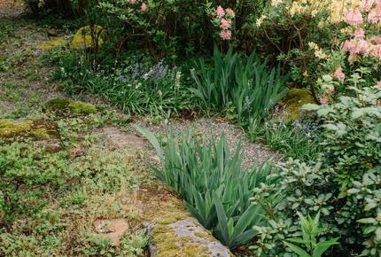 Pacific Northwest Woodland Escape - Duvall, Washington