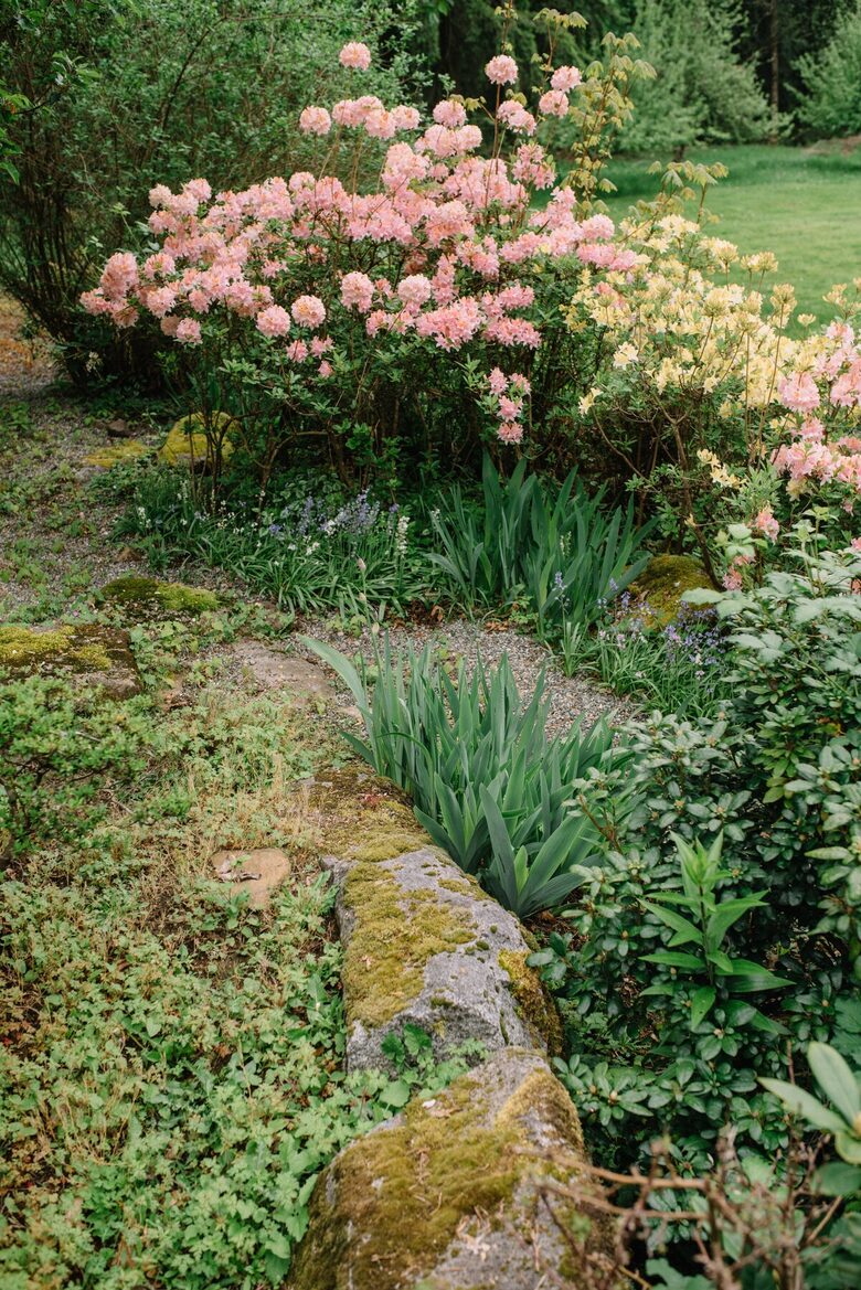 Pacific Northwest Woodland Escape - Duvall, Washington