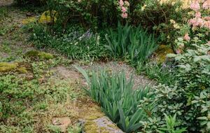 Pacific Northwest Woodland Escape - Duvall, Washington