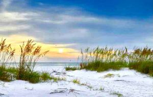 Island Escape in Holmes Beach - Holmes Beach, Florida
