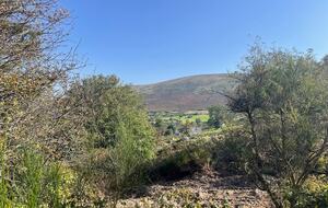 Elegant Countryside Haven with Scenic Wicklow Views - Ballynastockan, Ireland