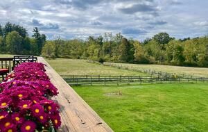 Rustic-Luxe Countryside Retreat in Bucks County - Perkasie, Pennsylvania