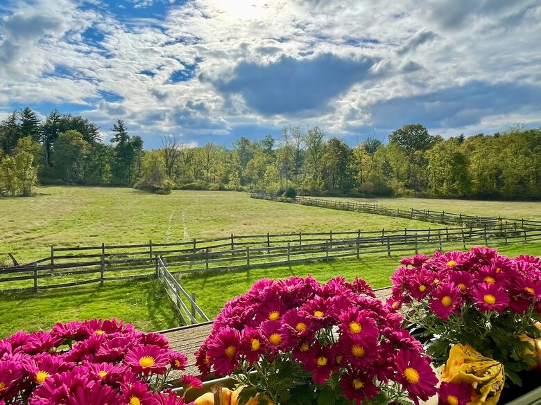 Rustic-Luxe Countryside Retreat in Bucks County - Perkasie, Pennsylvania