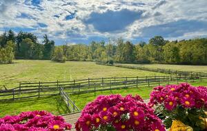 Rustic-Luxe Countryside Retreat in Bucks County - Perkasie, Pennsylvania