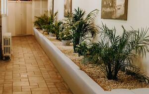 Rustic-Luxe Countryside Retreat in Bucks County - Perkasie, Pennsylvania