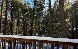 Rustic Mountain Retreat Near Lakes and Ski Slopes - Arnold, California