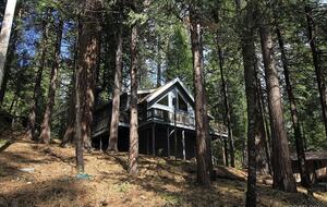 Rustic Mountain Retreat Near Lakes and Ski Slopes - Arnold, California