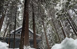 Rustic Mountain Retreat Near Lakes and Ski Slopes - Arnold, California