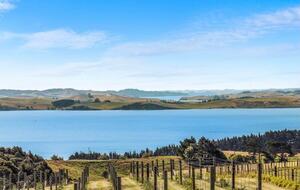 Coastal Farm Getaway Overlooking the Kaipara - Wharehine, New Zealand
