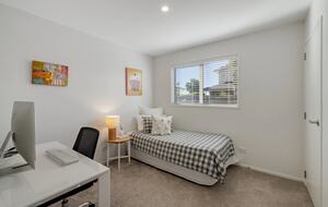 Endless Summer by the Sea - Mount Maunganui, New Zealand