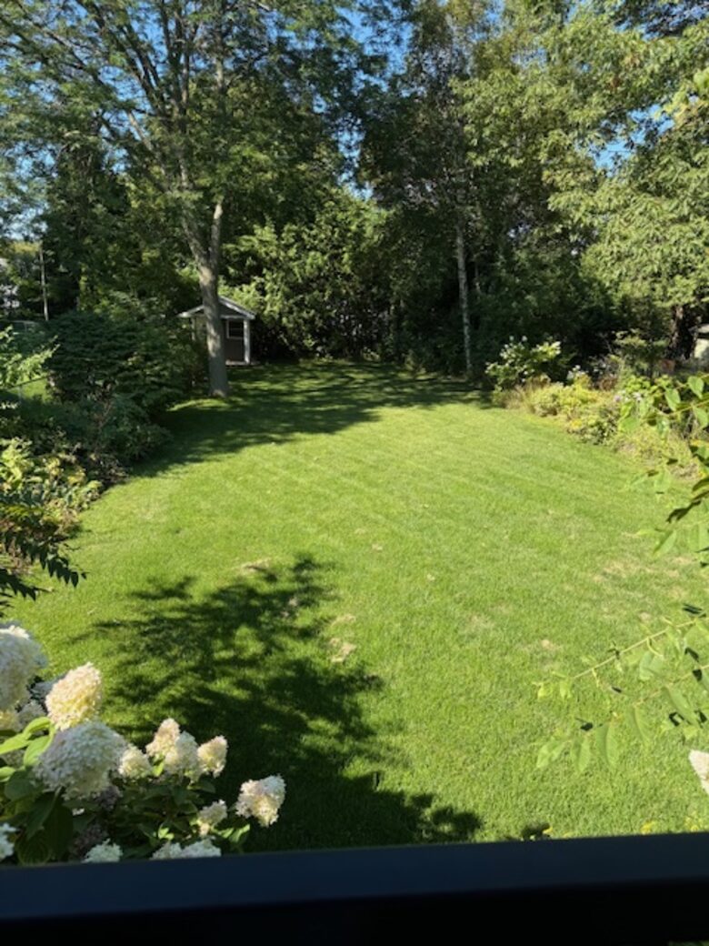 Cheerful Getaway In Historic Port Hope - Port Hope, Canada