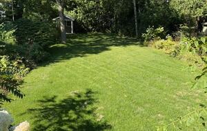 Cheerful Getaway In Historic Port Hope - Port Hope, Canada