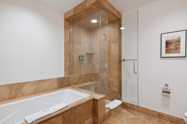 Aspen Living Steps from the Gondola - Aspen, Colorado