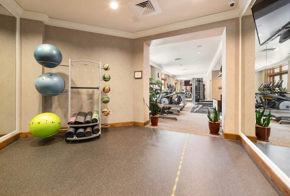 Aspen Living Steps from the Gondola - Aspen, Colorado