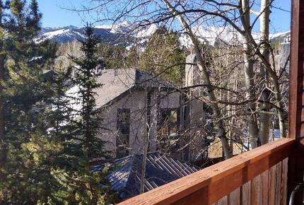 Spacious Ski Retreat Steps from Main Street - Breckenridge, Colorado