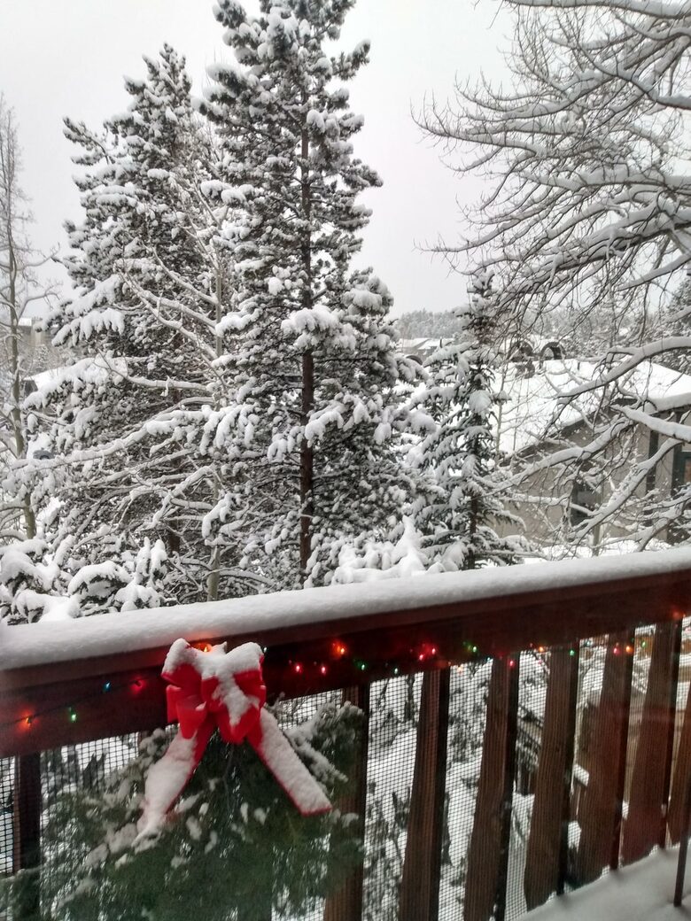 Spacious Ski Retreat Steps from Main Street - Breckenridge, Colorado