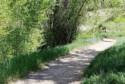 Modern Edwards Retreat on the Eagle River - Edwards, Colorado