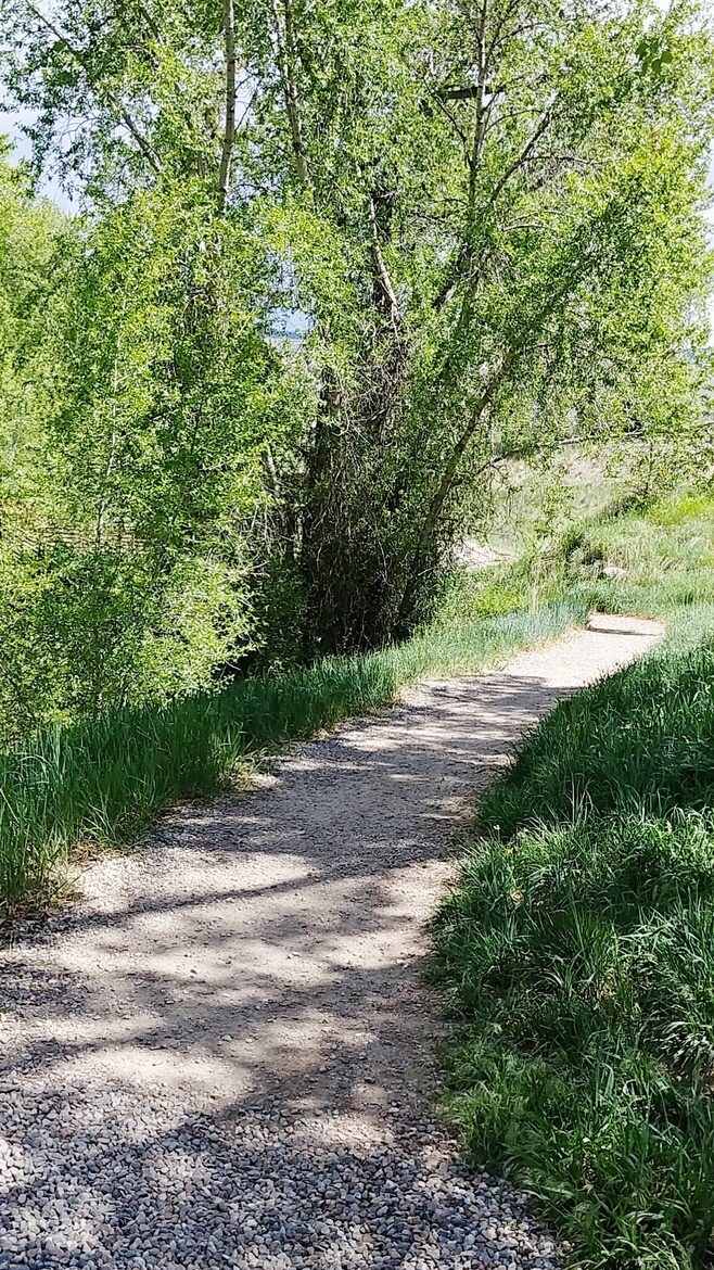 Modern Edwards Retreat on the Eagle River - Edwards, Colorado