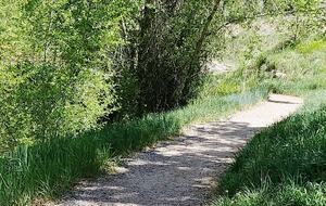 Modern Edwards Retreat on the Eagle River - Edwards, Colorado