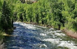 Modern Edwards Retreat on the Eagle River - Edwards, Colorado