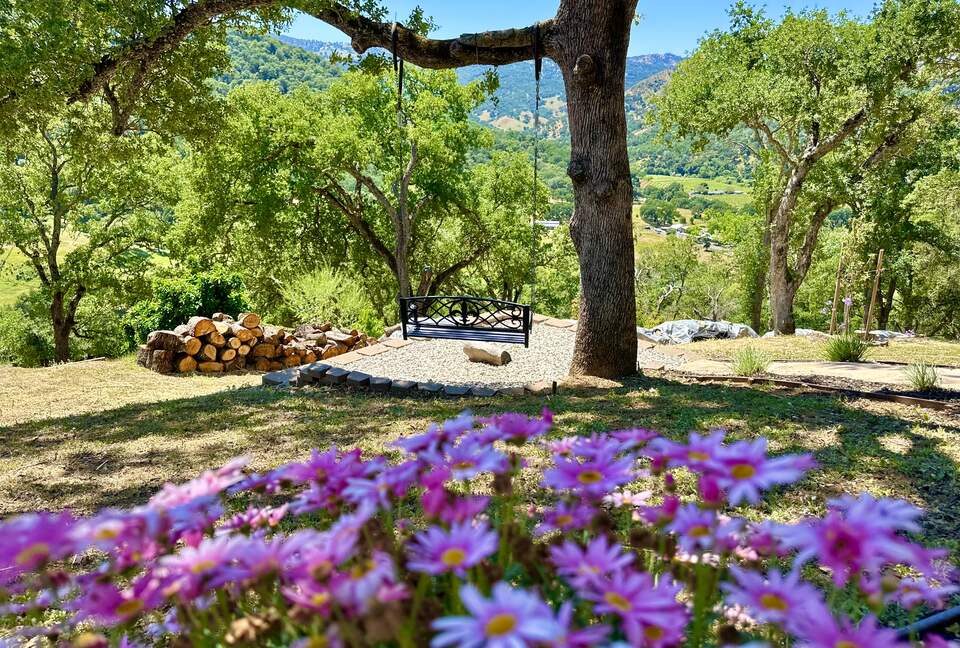 Hilltop Sanctuary in Napa - Napa, California