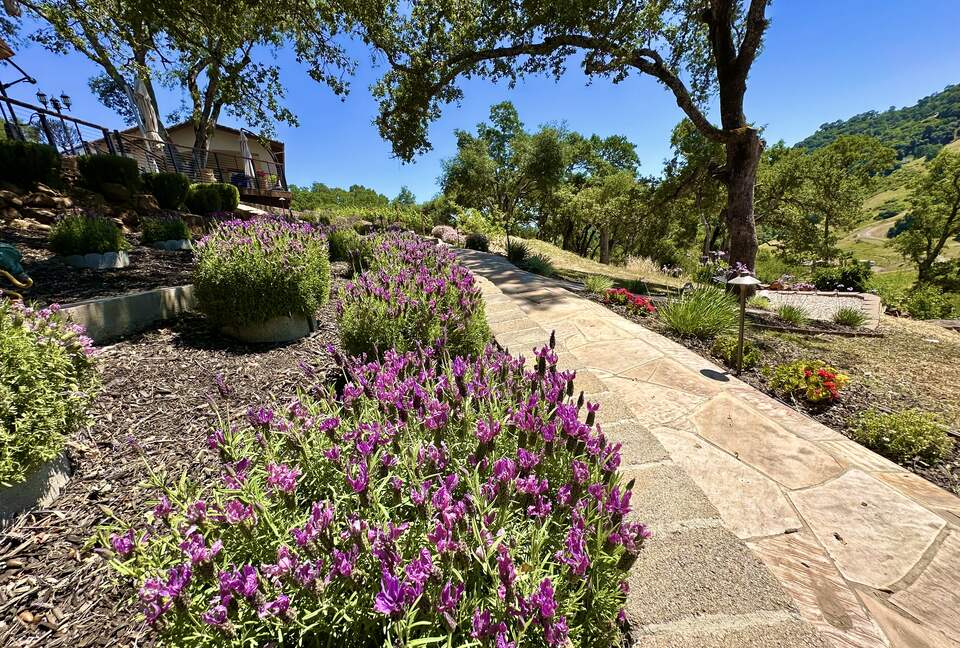 Hilltop Sanctuary in Napa - Napa, California